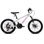 Велосипед 20