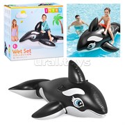 Игрушка для плавания «Касатка», 188 х 122 см, от 3 лет, 58561NP INTEX UT-58561NP
