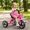 Велосипед 3-х колесный, розовый XEL-002-3