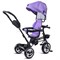Велосипед 3-х колесный, фиолетовый 6166FP-2