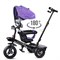 Велосипед 3-х колесный, фиолетовый 208-3