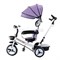 Велосипед 3-х колесный, фиолетовый UT-206-2