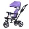 Велосипед 3-х колесный, фиолетовый UT-6166FP-2